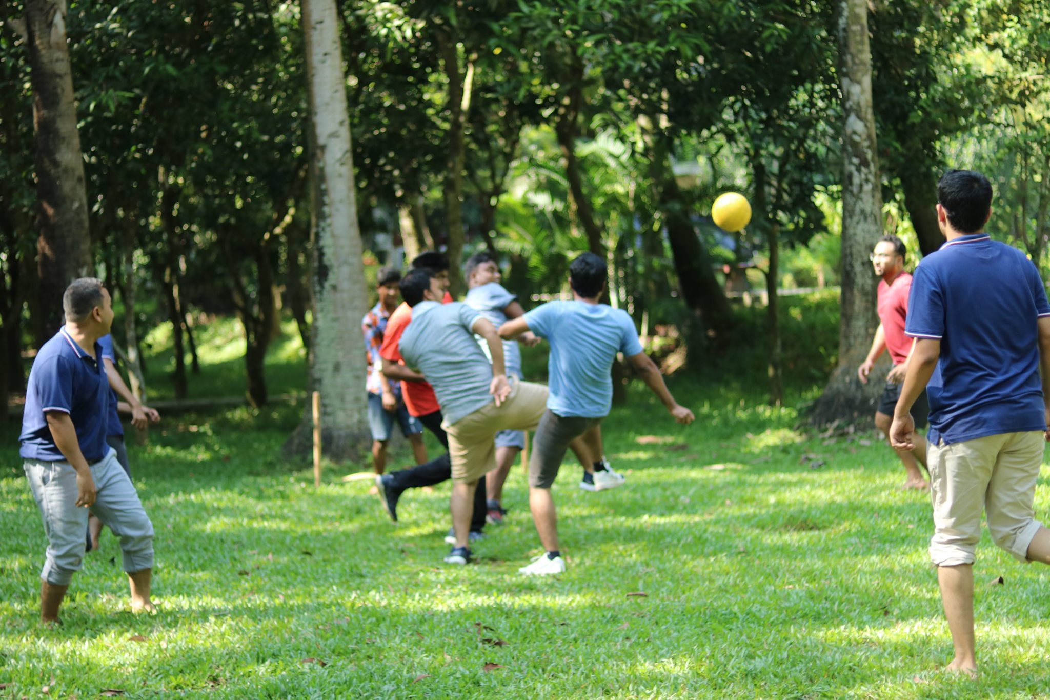 Office annual program 8